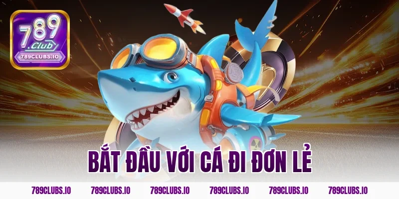 Bắt Đầu Với Cá Đi Đơn Lẻ