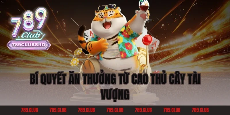 Bí quyết ăn thưởng từ cao thủ Cây Tài Vượng