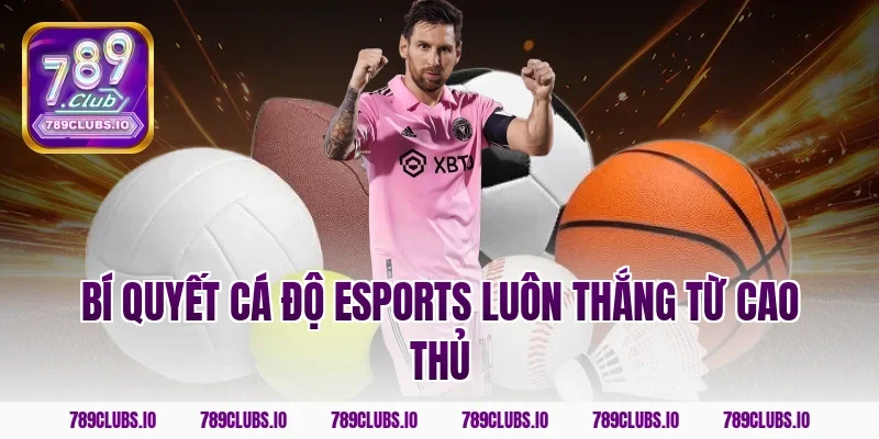 Bí quyết cá độ Esports luôn thắng từ cao thủ