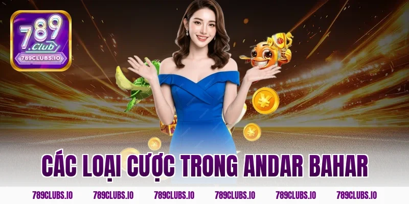 Các loại cược trong andar bahar