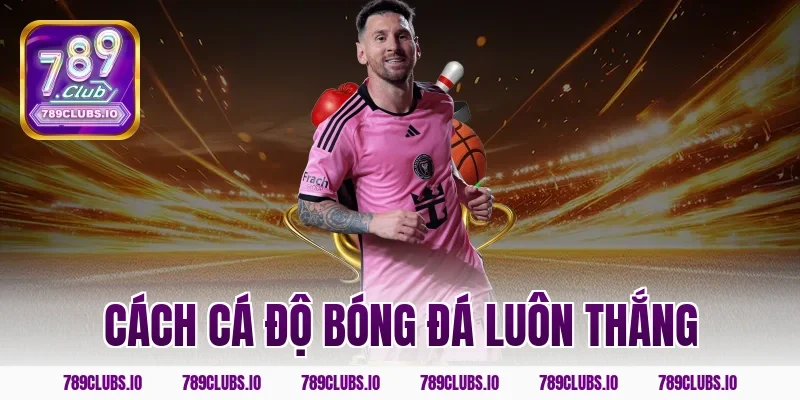 Mẹo cách cá độ bóng đá luôn thắng 789CLUB kiếm tiền nhà