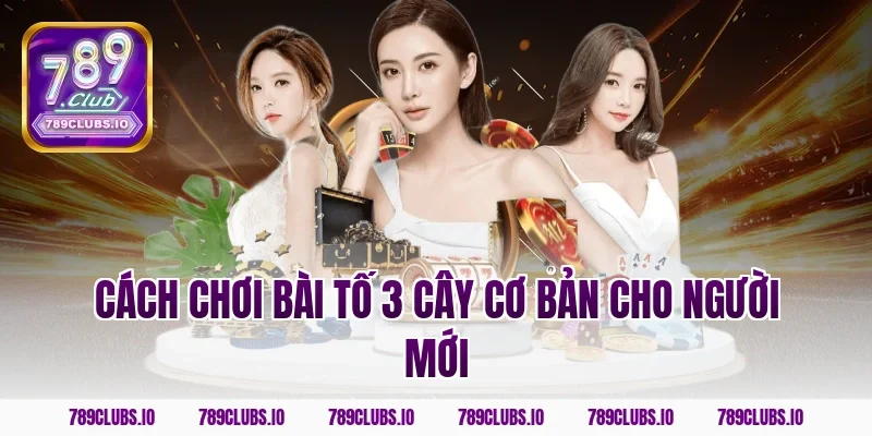 Cách chơi bài tố 3 cây cơ bản cho người mới