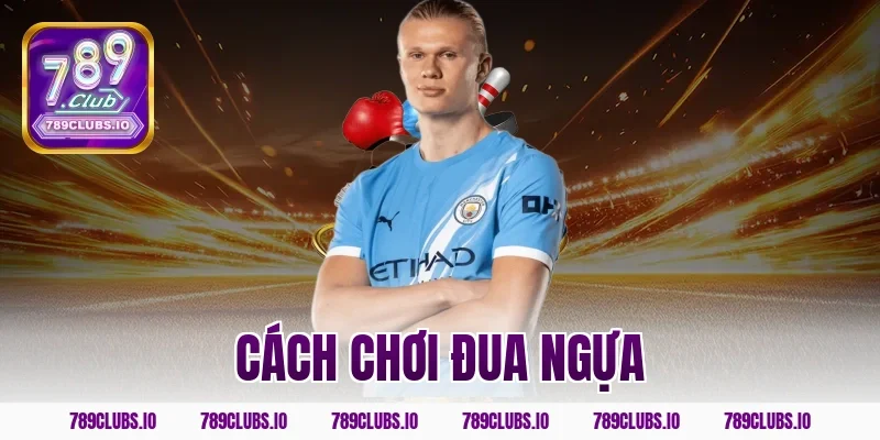 Mẹo và cách chơi đua ngựa cực hay trúng lớn trên 789CLUB