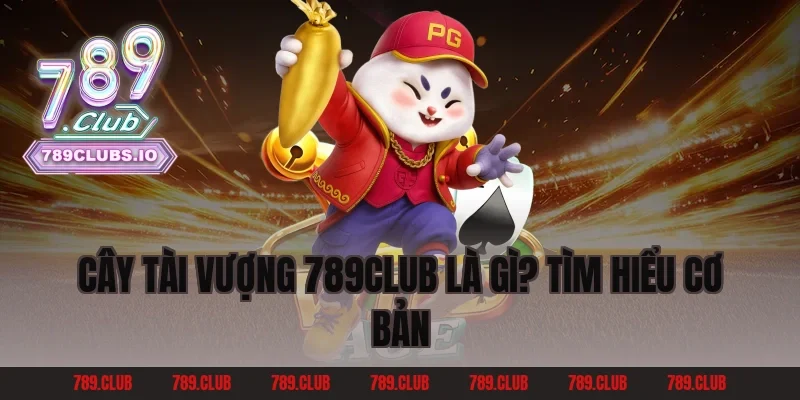 Cây Tài Vượng 789Club là gì? Tìm hiểu cơ bản