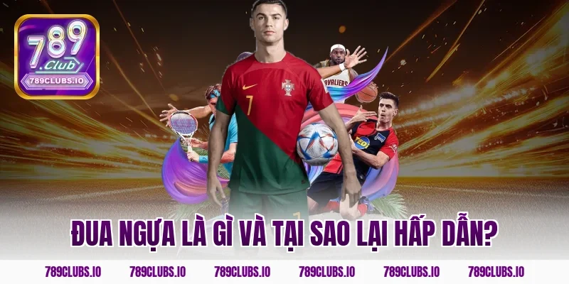 Đua ngựa là gì và tại sao lại hấp dẫn?