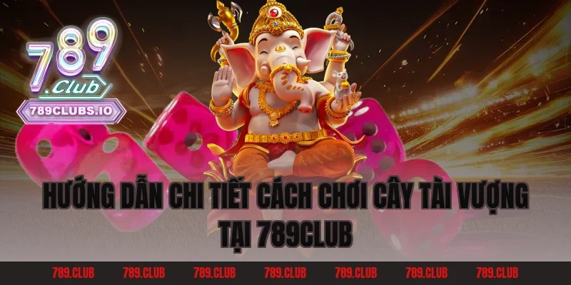 Hướng dẫn chi tiết cách chơi Cây Tài Vượng tại 789club