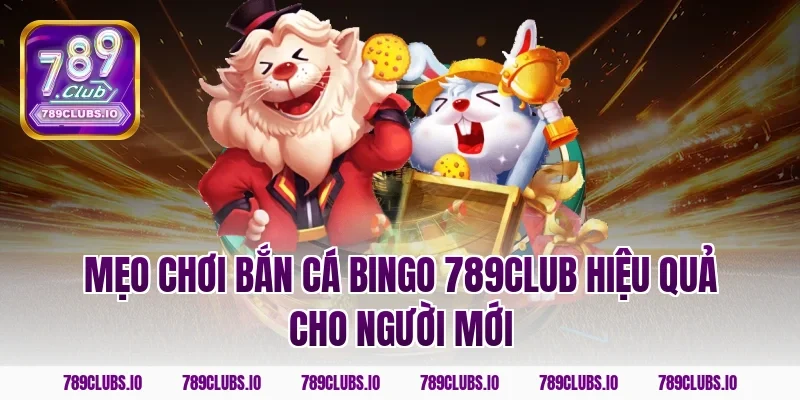 Mẹo chơi bắn cá bingo 789club hiệu quả cho người mới