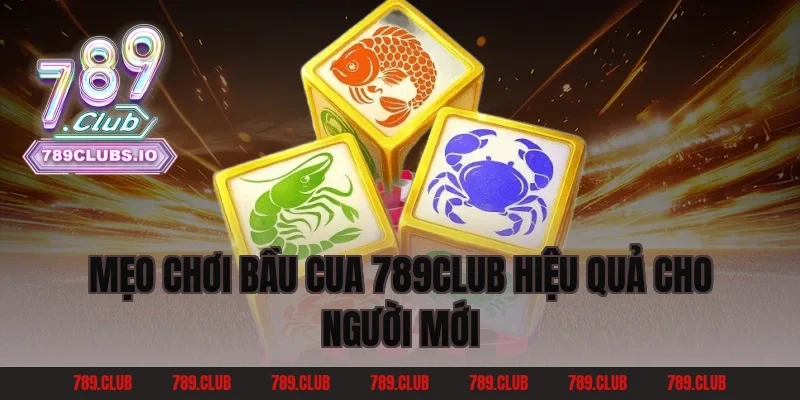 Mẹo Chơi Bầu Cua 789Club Hiệu Quả Cho Người Mới