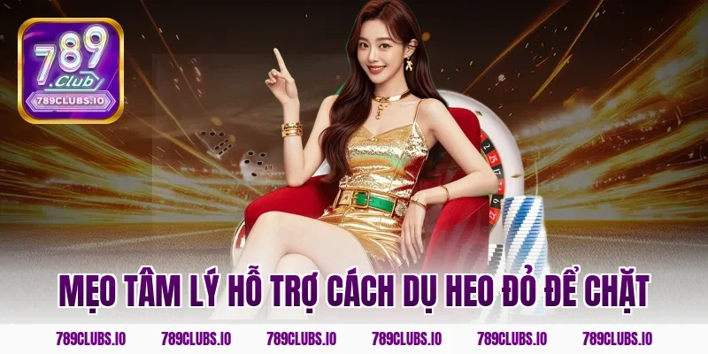 Mẹo tâm lý hỗ trợ cách dụ heo đỏ để chặt